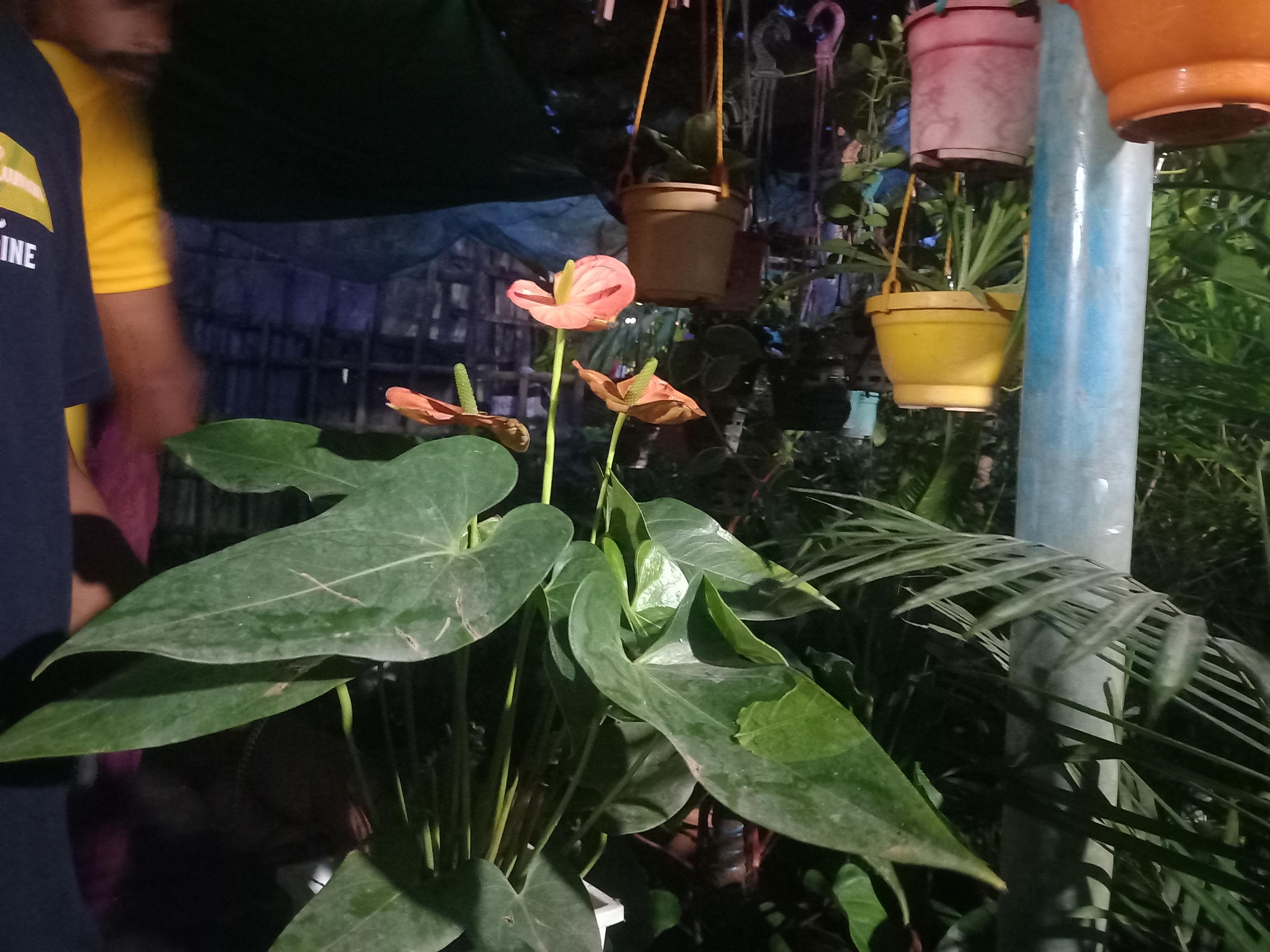 উইনার এগ্রিকালচার সেন্টার 