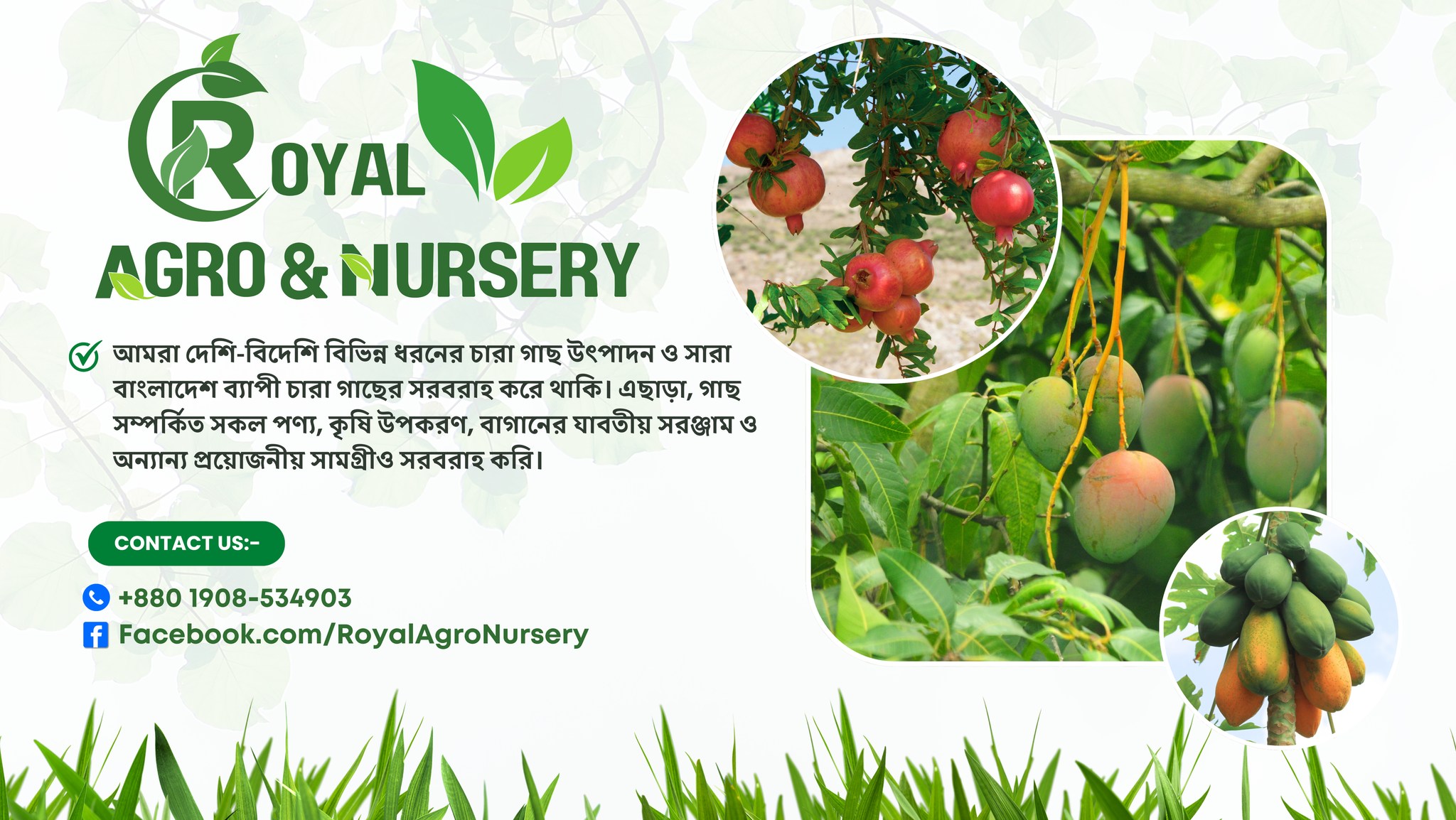 Royal Agro & Nursery (Dhaka,)