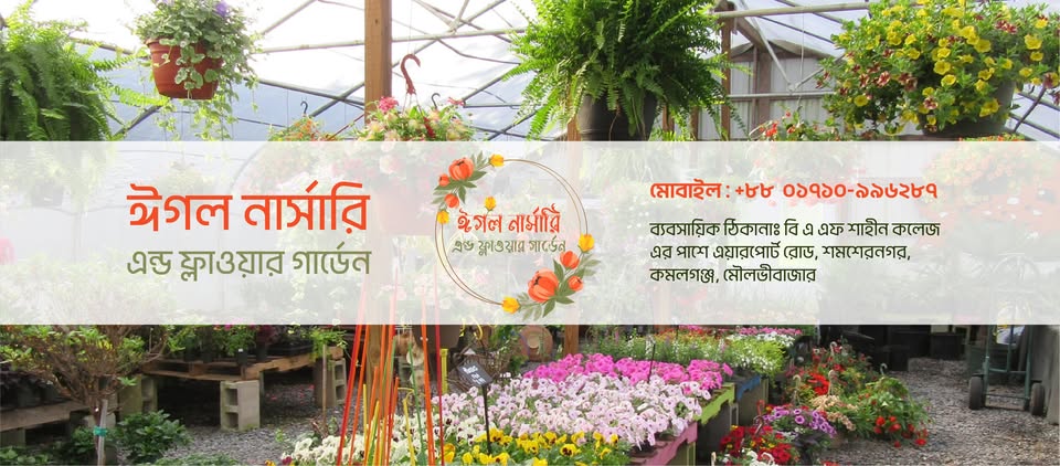 ঈগল নার্সারি এন্ড ফ্লাওয়ার গার্ডেন