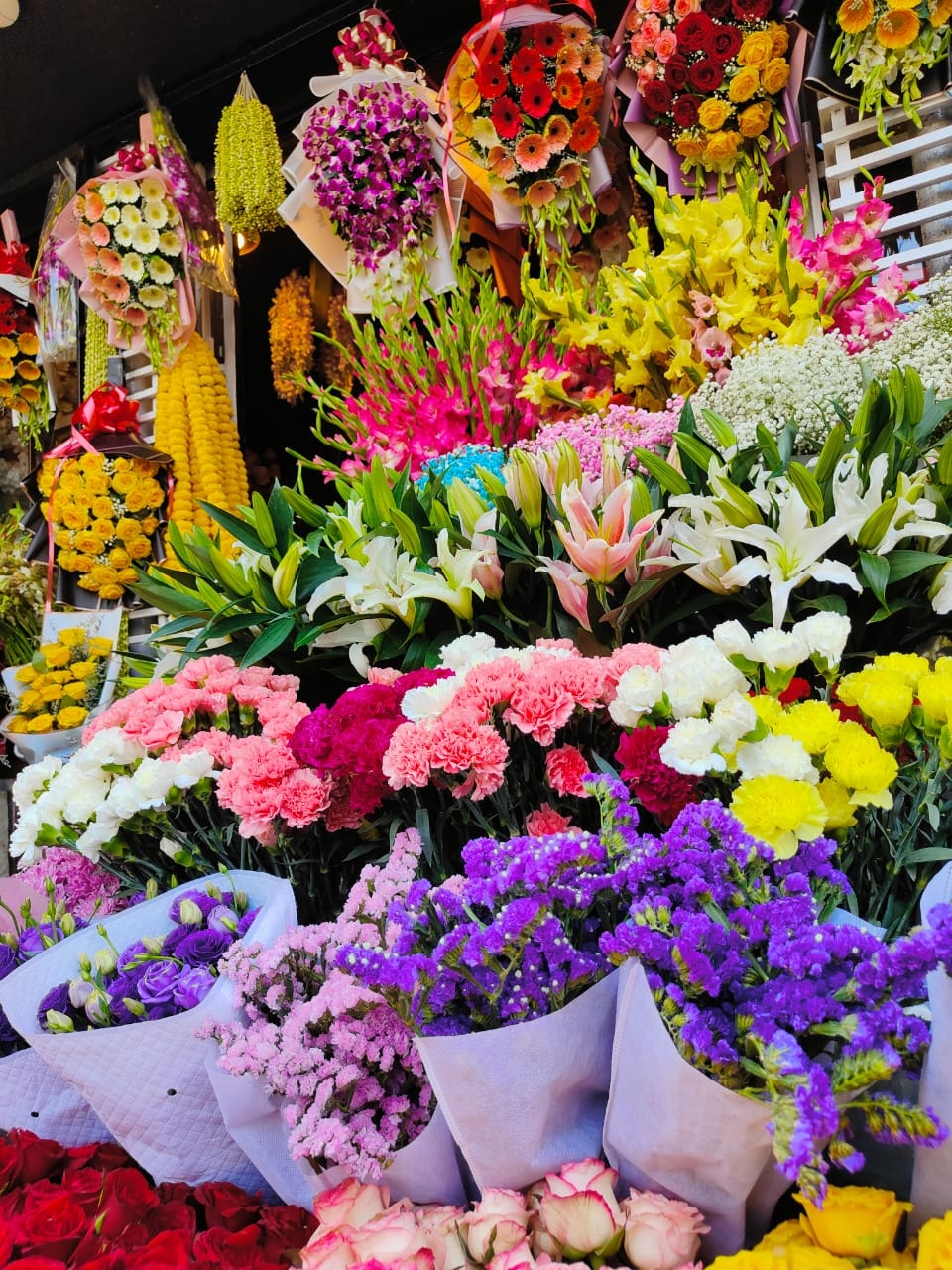 অপরাজিতা পুষ্প বিতান