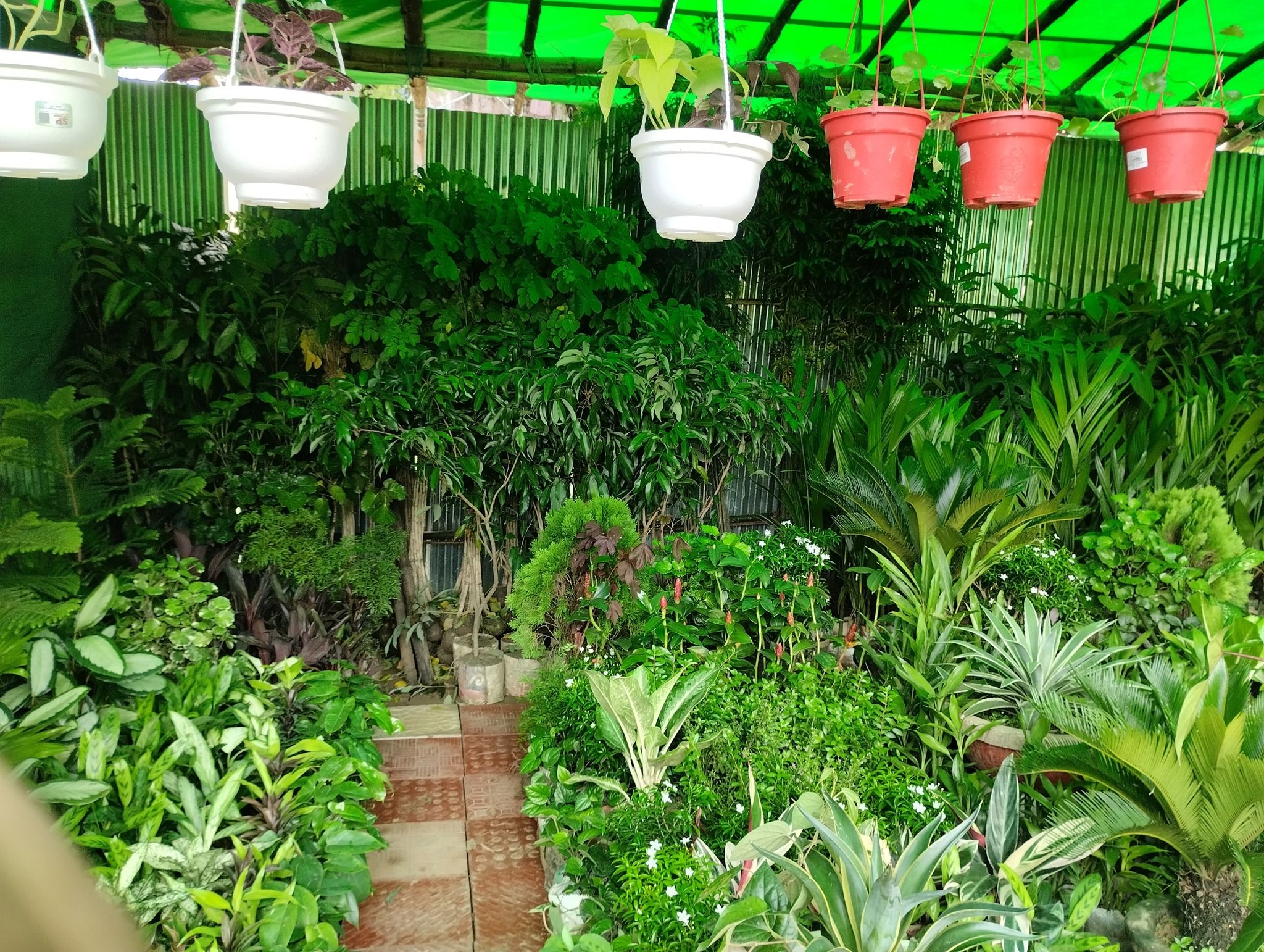 মালাঞ্চ নার্সারি