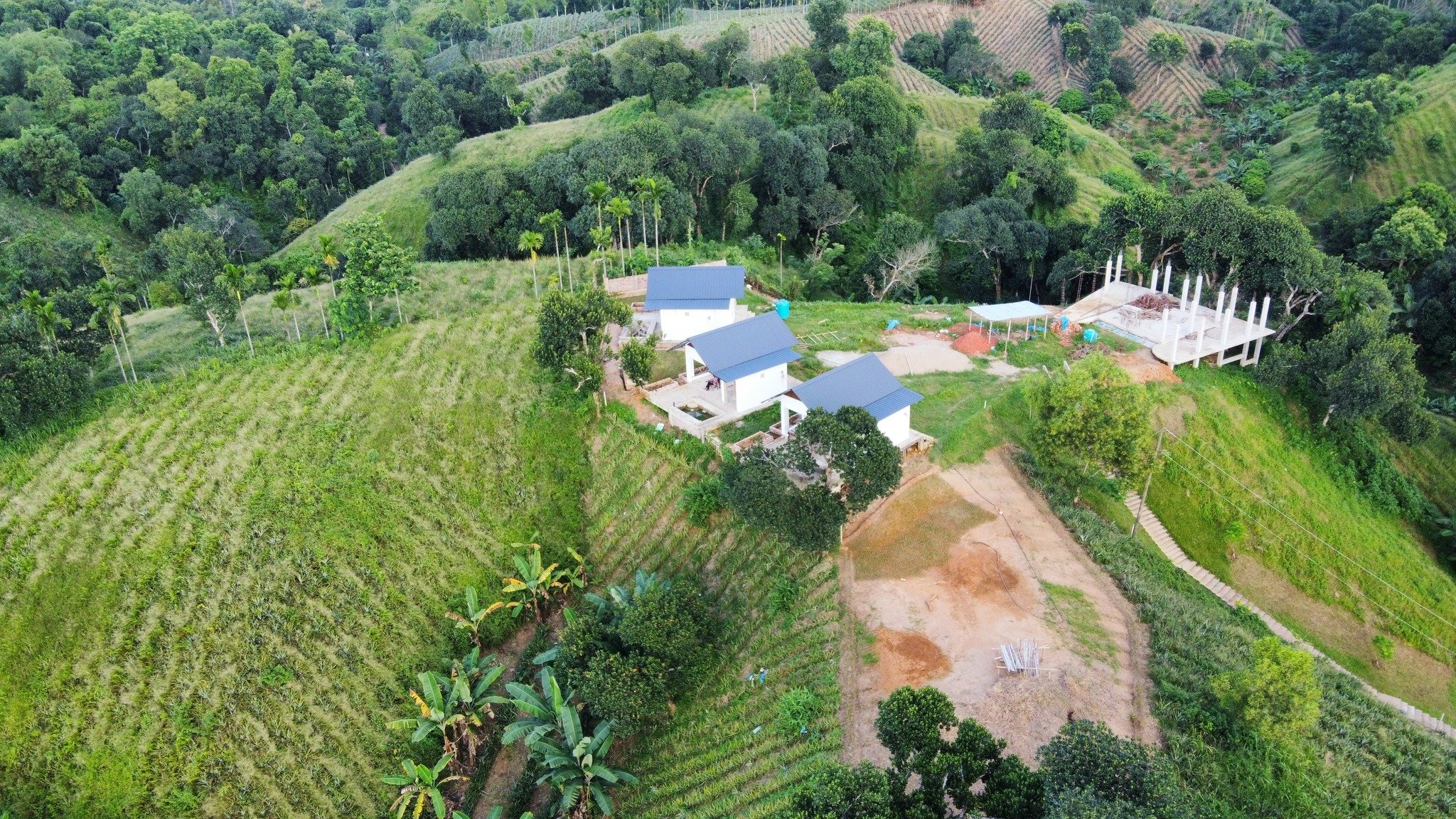 Sreemangal Eco Resort