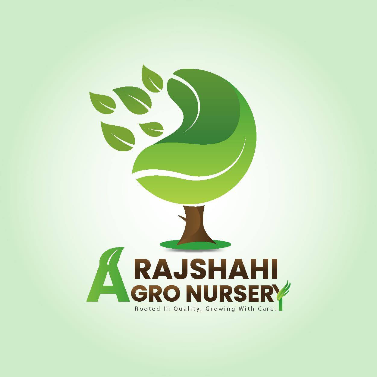 রাজশাহী এগ্রো নার্সারি / Rajshahi Agro Nursery 