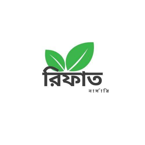 Rifat Nursery - রিফাত নার্সারি (Natore, Bangladesh)
