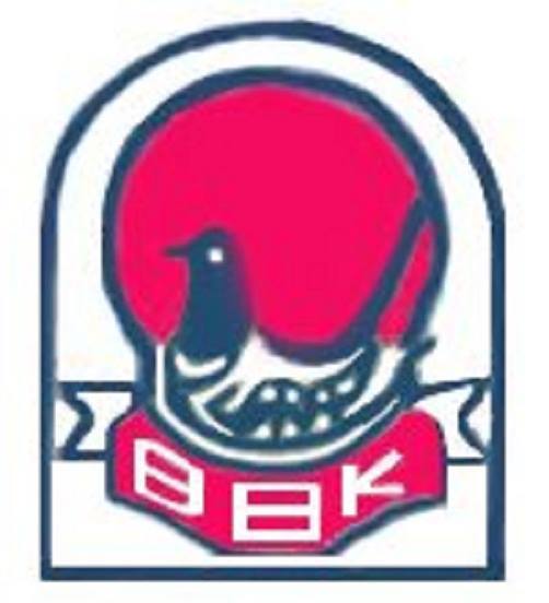 Blue Bird Kindergarten, Pabna