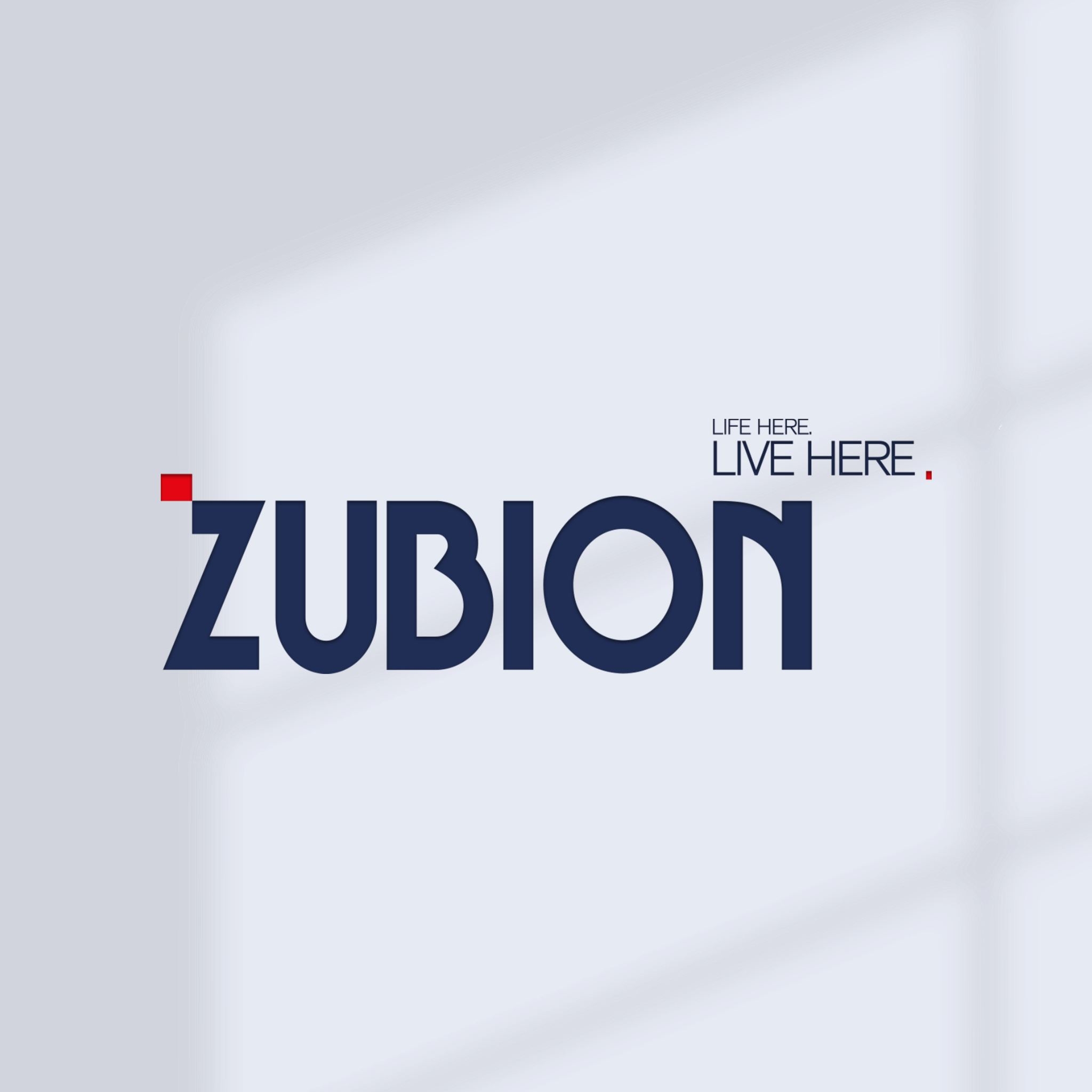 Zubion Development Solutions Limited