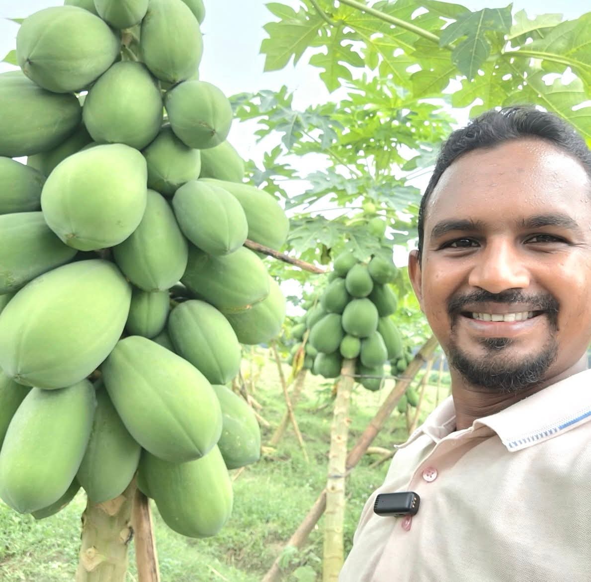 Maa agro and nursery 