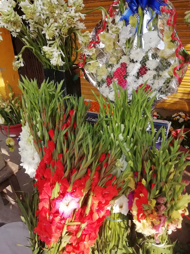 সেন্ট্রাল ফুল ঘর